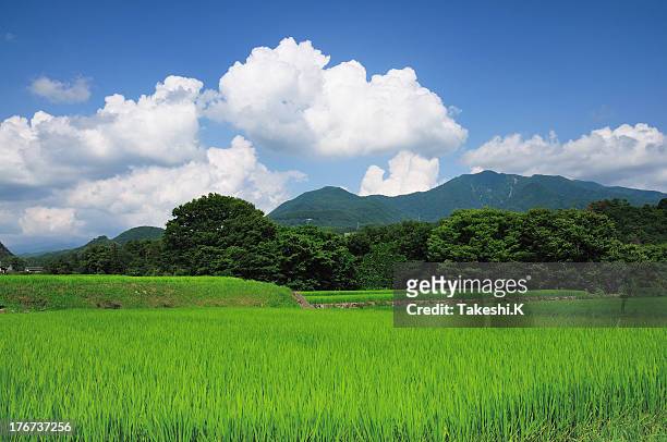 summer scene - satoyama scenery stock pictures, royalty-free photos & images