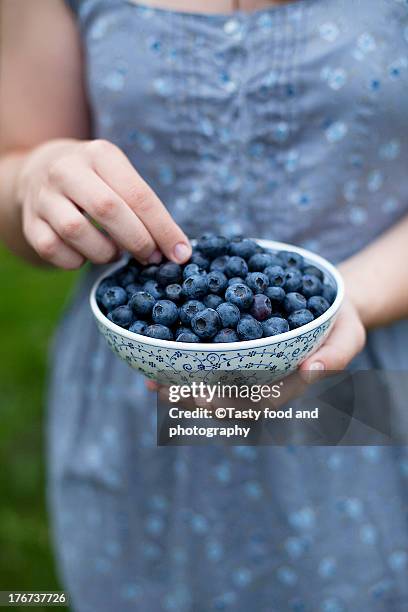 blueberry in a bowl - blueberry girl fotografías e imágenes de stock