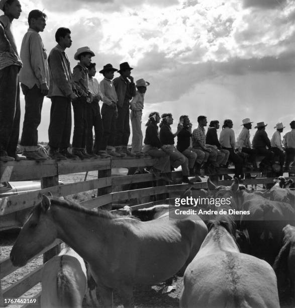View, over horses, of men as they stand or sit on fence of a corral, Gallup, New Mexico, mid twentieth century.