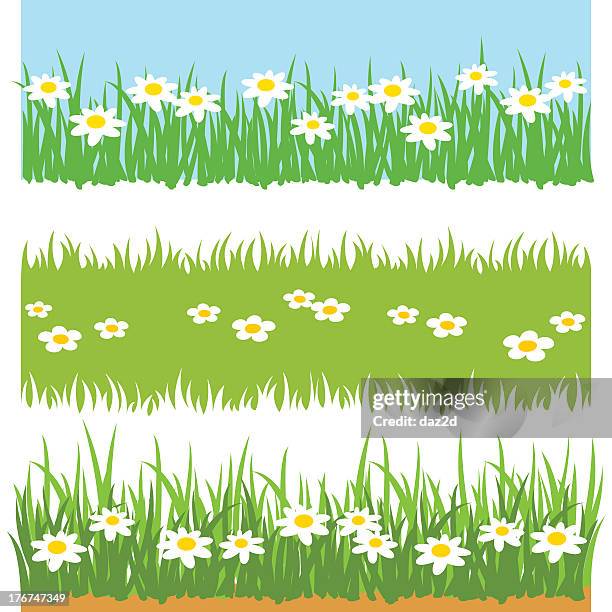 green grass with white flowers - gras stock illustrations