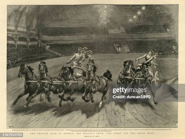 chariot race between a man and woman at barnum and bailey's show, 1890s - circus performer stock illustrations