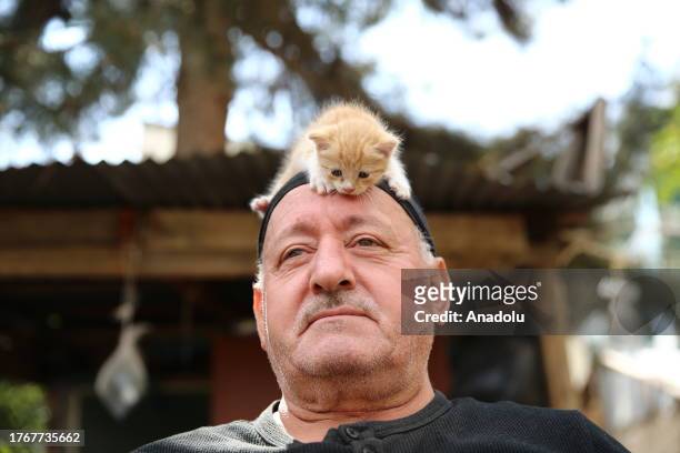 Mustafa Colakoglu, a retired civil engineer takes care of the cats at his house with a garden, located in the middle of business centers at the...