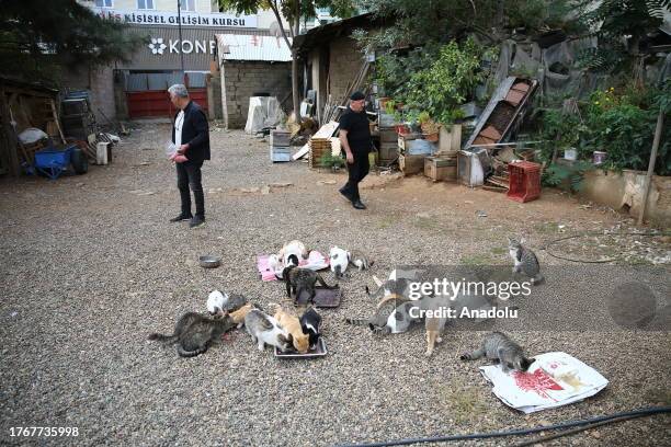 Mustafa Colakoglu , a retired civil engineer takes care of the cats at his house with a garden, located in the middle of business centers at the...