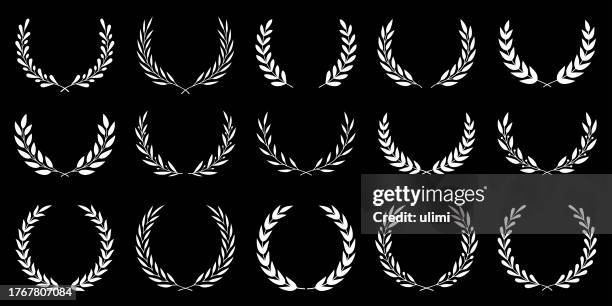 illustrazioni stock, clip art, cartoni animati e icone di tendenza di wreaths floreale - alloro