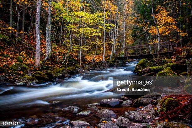 autumn - buskerud stock pictures, royalty-free photos & images