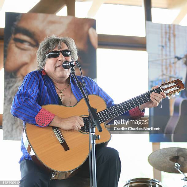 Jose Feliciano performs during the Richie Havens Memorial Celebration and Aerial Scattering pf Ashes at Bethel Woods Art Center on August 18, 2013 in...