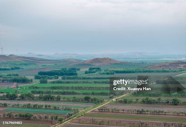 landscape of a green field with trees and sky - aerial top view steppe stock pictures, royalty-free photos & images