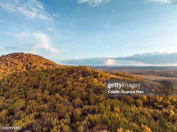 autumn natural landscape - aerial top view steppe stock pictures, royalty-free photos & images