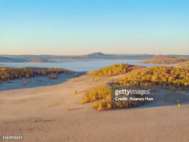 autumn grassland natural landscape covered by fog - aerial top view steppe stock pictures, royalty-free photos & images