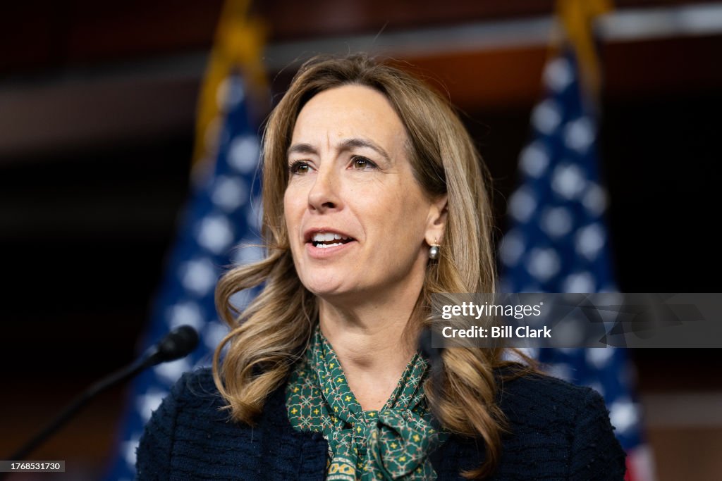 Mickey Sherell Rep. Mikie Sherrill, D-N.J., participates in the House Democrats ...