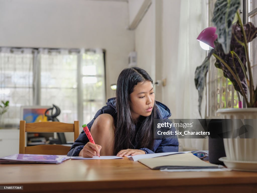 Asian girl doing homework or studying lesson at home