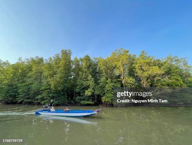 sightseeing excursion by canoe in canals and mangrove forests, ca mau province - tourboat stock pictures, royalty-free photos & images