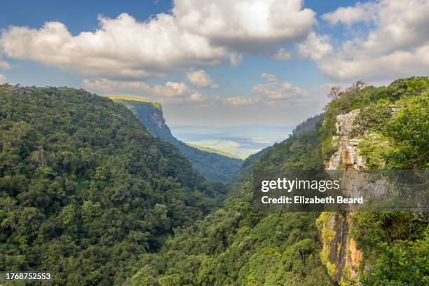 graskop gorge, south africa - blyde river canyon stock pictures, royalty-free photos & images