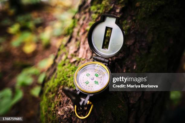 compass on a tree in the forest. - amber alert stock pictures, royalty-free photos & images