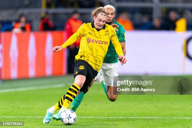 Julian Brandt of Borussia Dortmund battles for the ball with Joelinton of Newcastle United during the UEFA Champions League Group F match between...