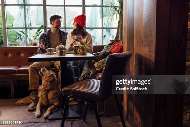 entspannen mit unserem hund - british pub stock-fotos und bilder