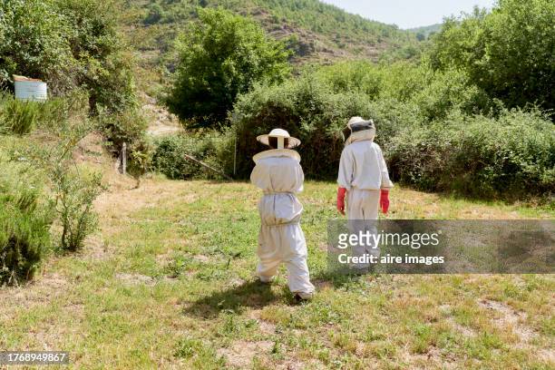 back view of two children in beekeeping protective suits standing walking on the farm lawn. - examining lawn stock pictures, royalty-free photos & images