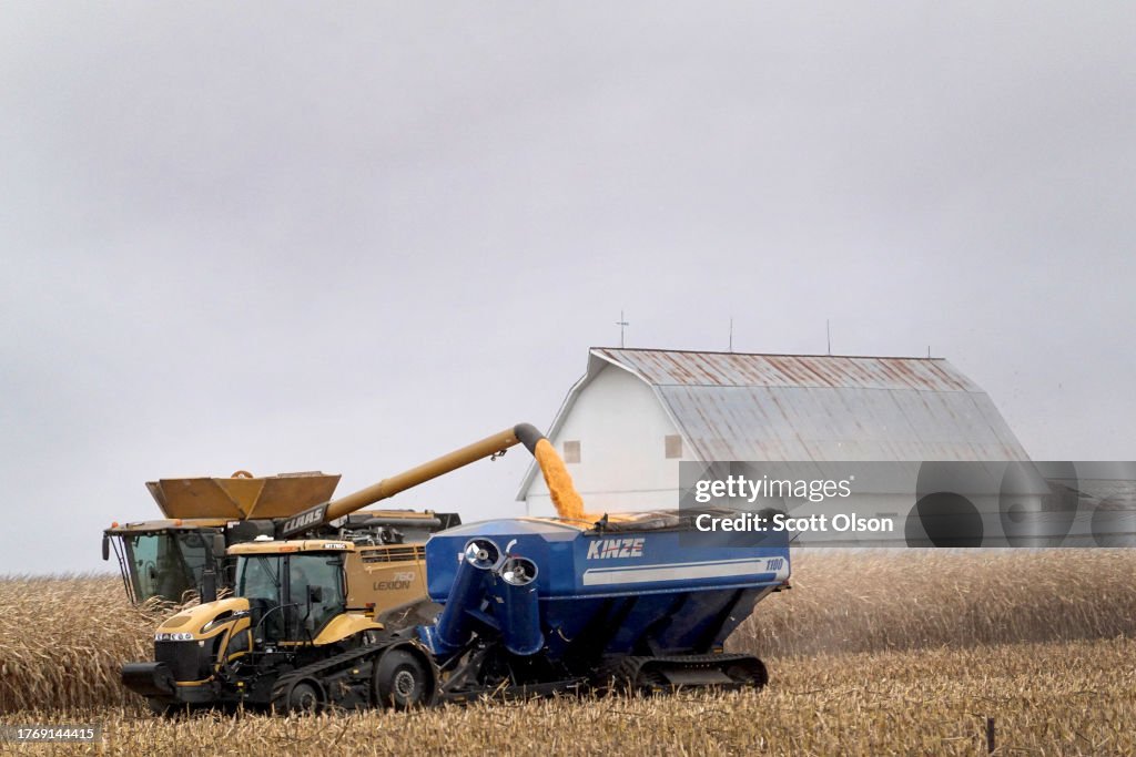 Iowa Corn Rake Farmers harvest corn in a field on October 31, 2023 near Osage, Iowa ...