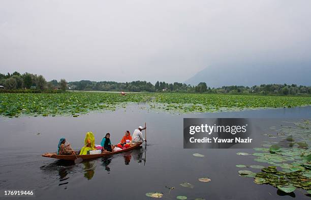Kashmiris take a ride through a floating lotus garden on Da lake August 19, 2013 in Srinagar, the summer capital of Indian administered Kashmir,...
