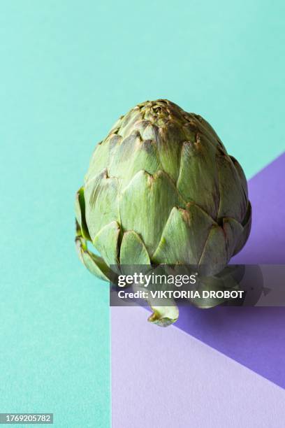 fresh artichoke flower on a bright colored background. healthy eating concept, veganism. - artichoke stock pictures, royalty-free photos & images