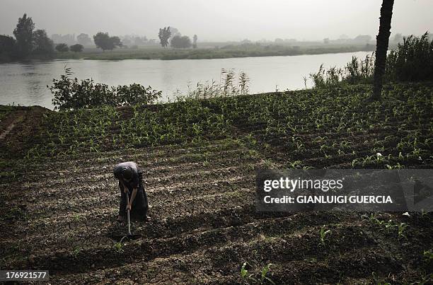 Rasheda Rivers 68 Rasheed River Stock Photos, High-Res Pictures, and Images - Getty Images