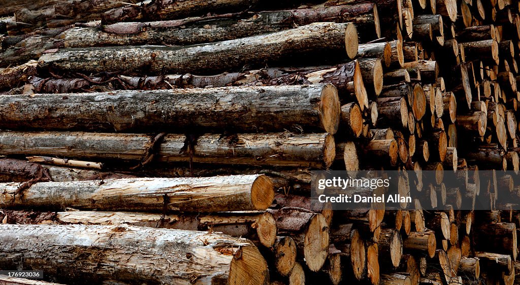 Stack of logs