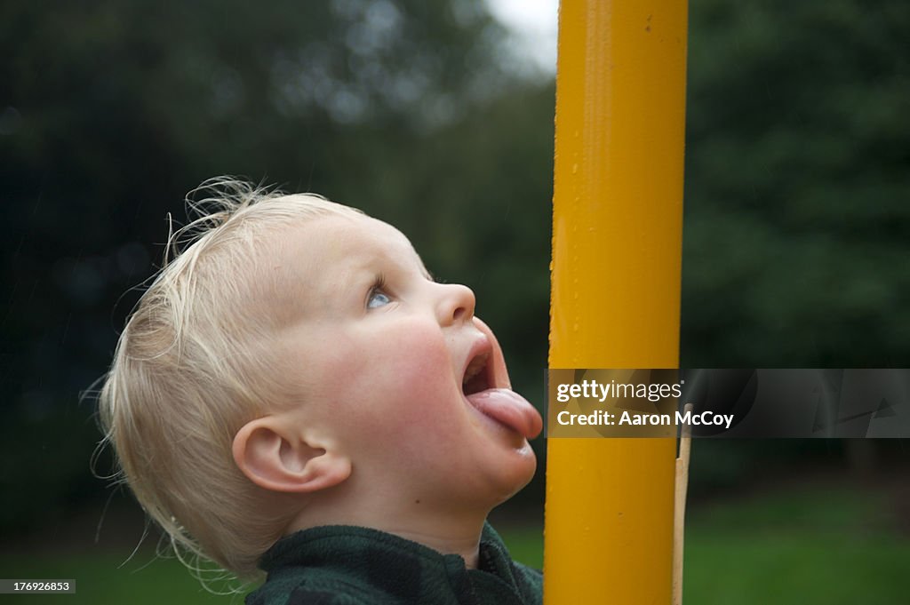 Licking the post