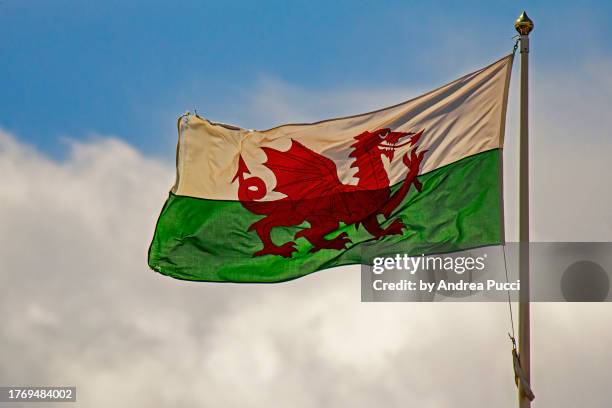 welsh flag, harlech castle, wales, united kingdom - welsh flag stock pictures, royalty-free photos & images