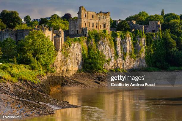 chepstow castle, wales, united kingdom - chepstow castle stock-fotos und bilder