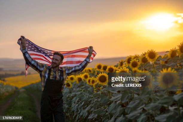 young man with american flag in sunflower field - lerexis stockfoto's en -beelden