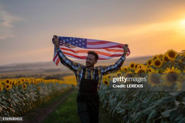 man with american flag in sunflower field at sunset - lerexis stockfoto's en -beelden