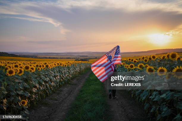 young man with american flag in sunflower field - lerexis stockfoto's en -beelden