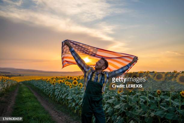 a young man waving an american flag - lerexis stockfoto's en -beelden