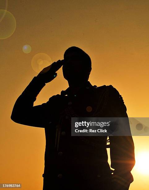 independence day - saluting stock pictures, royalty-free photos & images