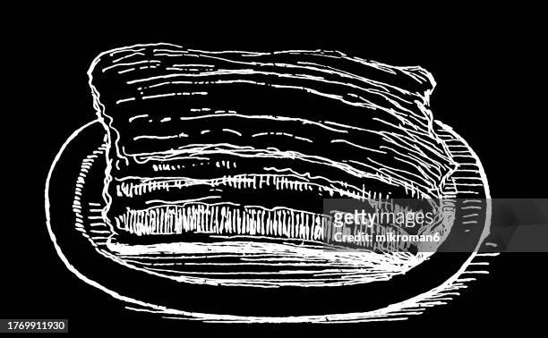 old engraved illustration of brisket of beef - animal rib cage stock pictures, royalty-free photos & images