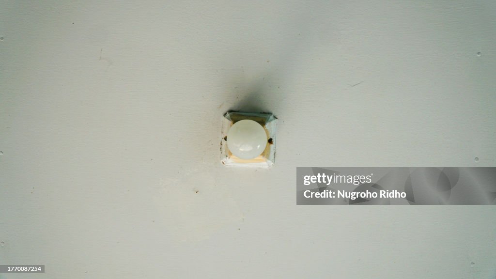 White Light Bulb Flat Lay Hang on The White Ceiling