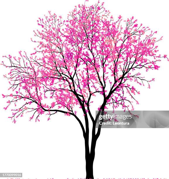 illustrations, cliparts, dessins animés et icônes de silhouette très détaillée de fleur de cerisier (sakura) - arbre cerisier japonais vectoriel