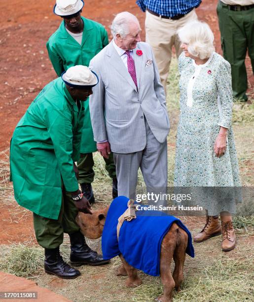 King Charles III and Queen Camilla view a baby rhino during a visit to Sheldrick Wildlife Trust Elephant Orphanage in Nairobi National Park, to learn...