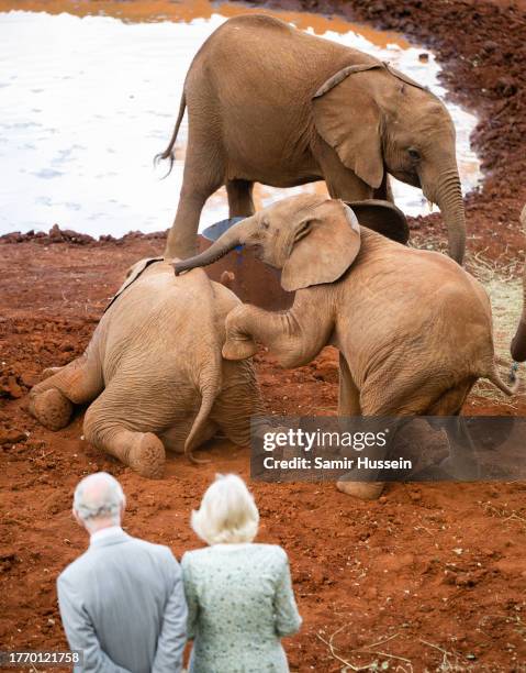 King Charles III and Queen Camilla view elephants during a visit to Sheldrick Wildlife Trust Elephant Orphanage in Nairobi National Park, to learn...