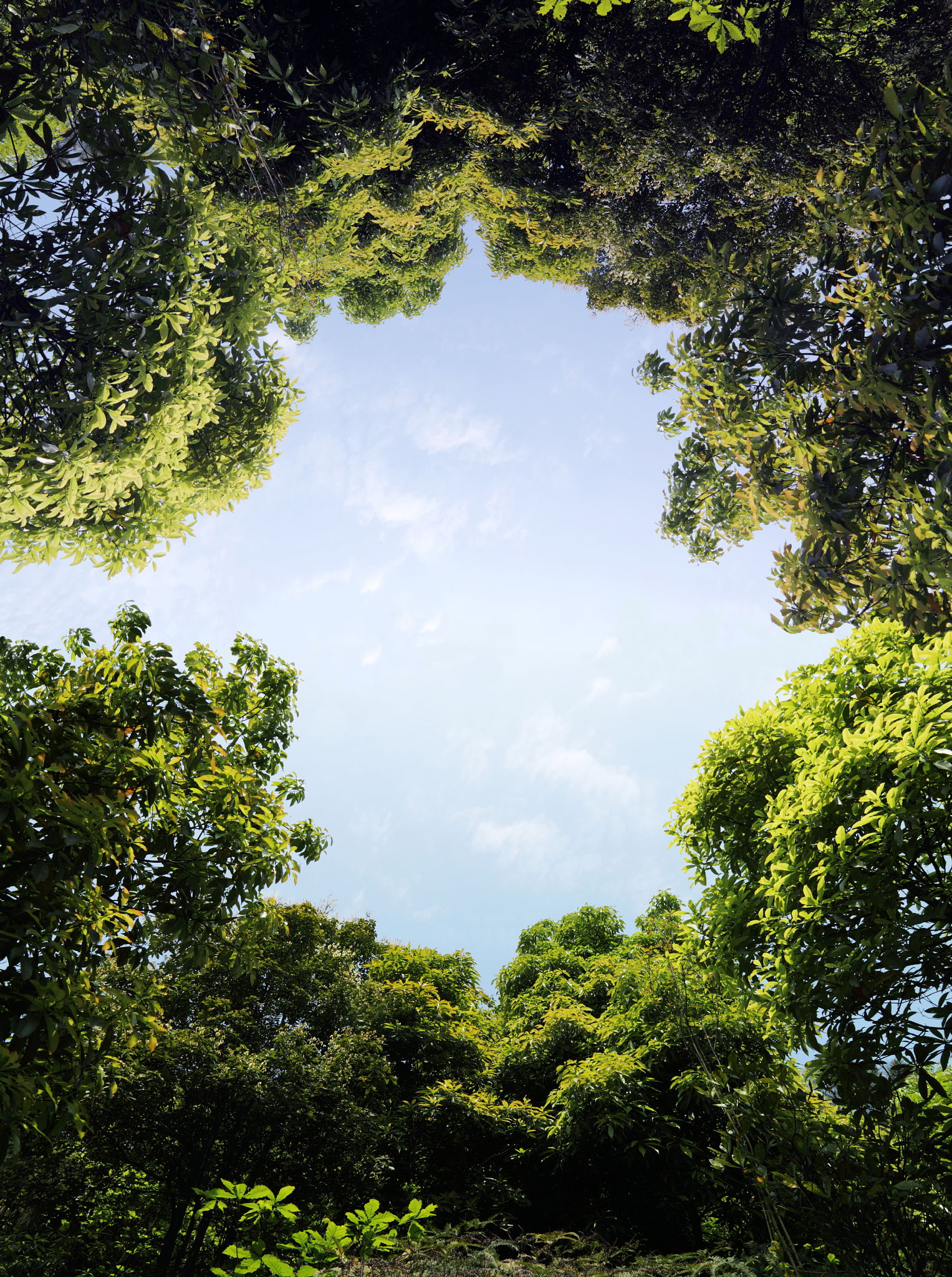 eco-friendly art