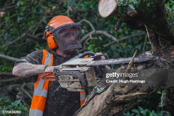 Man working for a firm of tree surgeons uses a chain saw to remove branches from a tree brought down on to a road by Storm Ciaran at Castle Hill on...