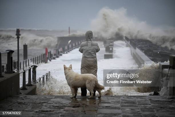 Person and their dog watch the waves, on November 02, 2023 in West Bay, Dorset. Storm Ciaran swept across the southwest and south of England...