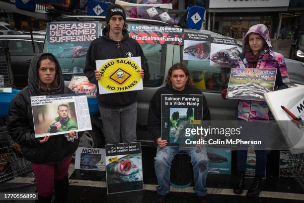 Protestors taking part in the End Salmon Farming tour outside M&S and Aldi stores on November 2, 2023 in Bidston, Wirral. Led by Don Staniford ,...