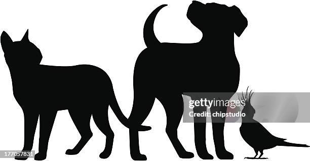 dog cat bird stand - looking up stock illustrations