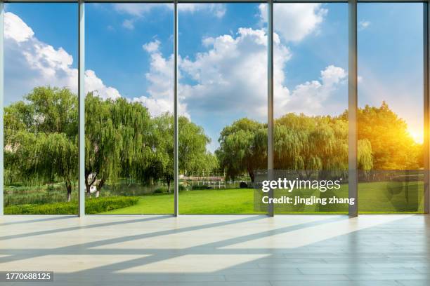 through glass windows, under a clear sky, the lawns and green forests in the city park - park city background stock pictures, royalty-free photos & images