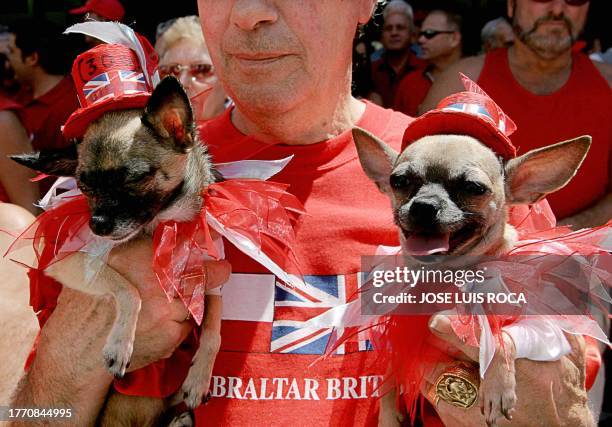 Gibraltarian with two dogs during the celebrations of 300th Aniversary of British control in Gibraltar 04 August 2004. Spain ceded Gibraltar to the...