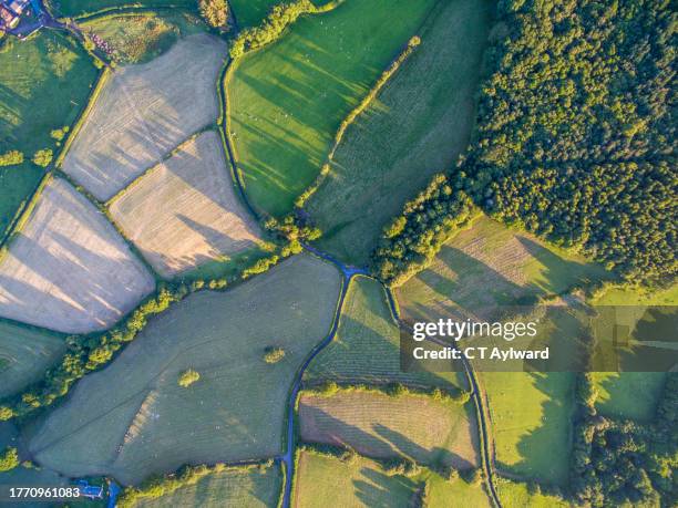 agriculture crop fields brecon beacons - paysage vallonné photos et images de collection