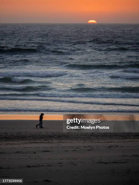 walking on the beach at sunset - lincoln city oregon stock pictures, royalty-free photos & images