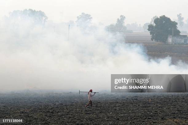 Farmer walks across a paddy field as straw stubble is burnt after a harvest, at a village in Sultanpur Lodhi on November 8, 2023.