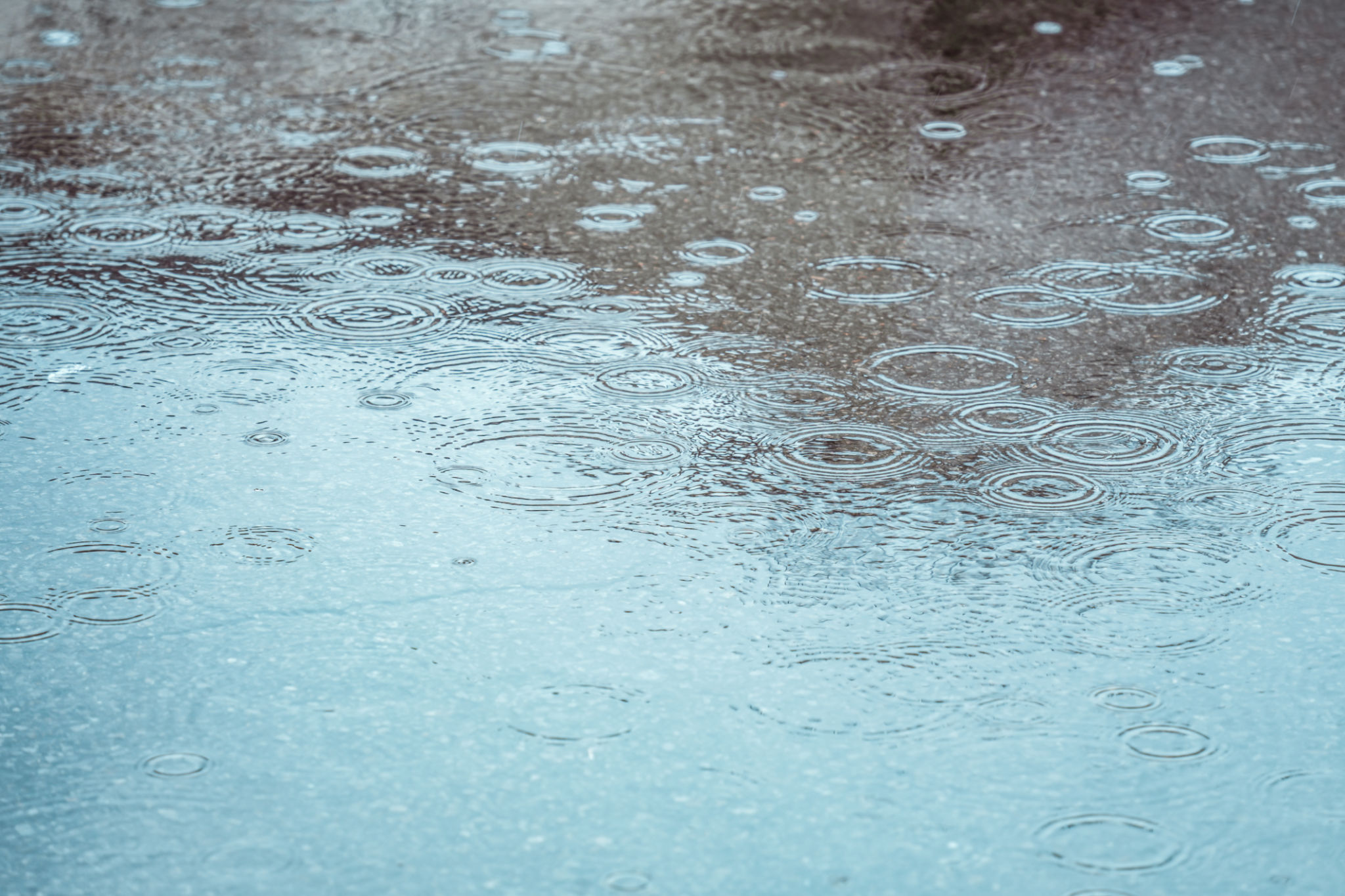 rain on pavement